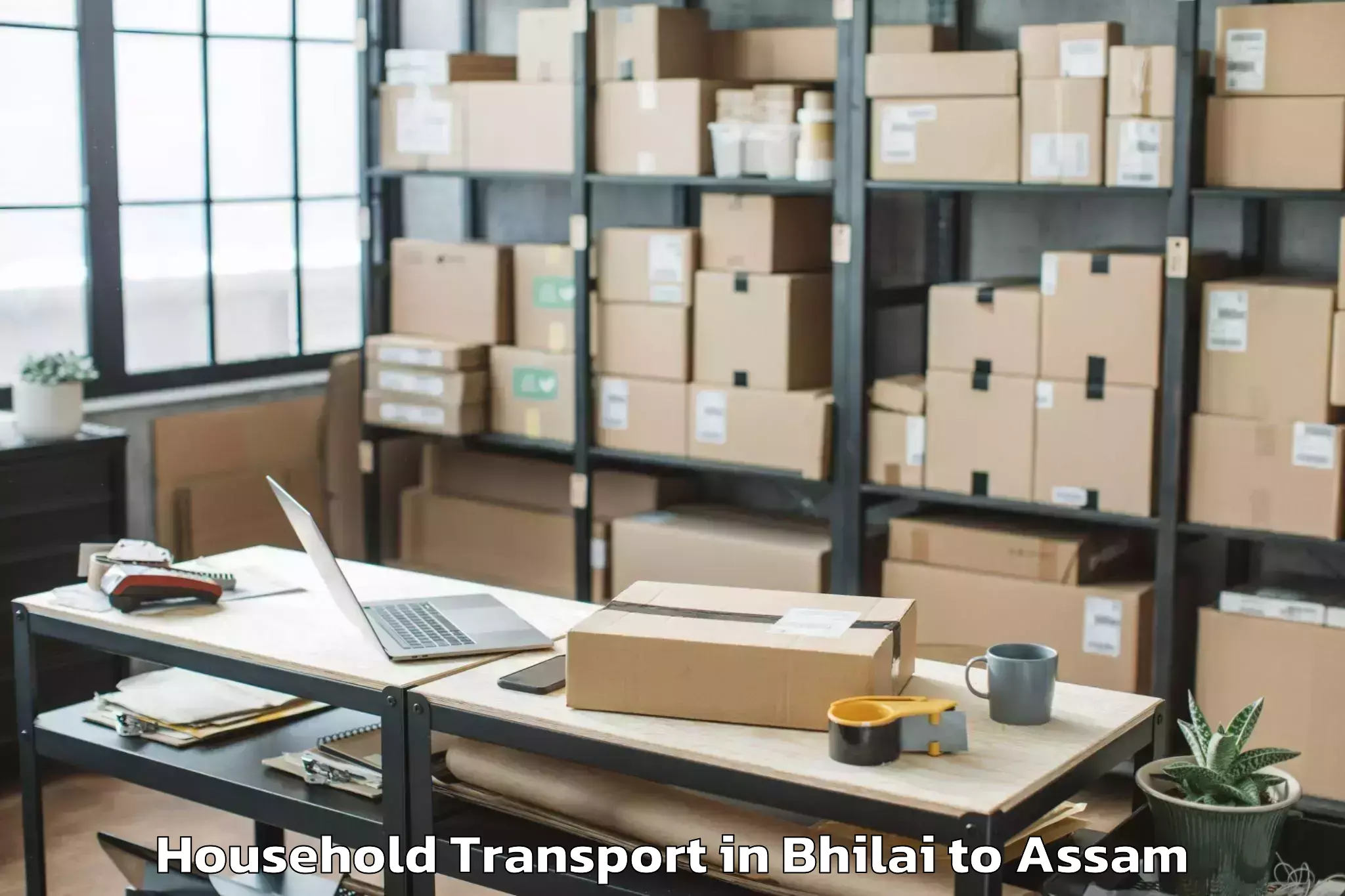 Book Bhilai to Abhilashi University Sivasagar Household Transport Online